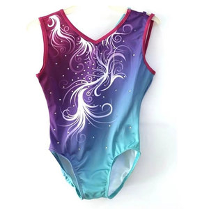 Justaucorps professionnels en tissu lisse et coupe athlétique, idéaux pour la gymnastique de compétition, la danse et l'entraînement sportif - Product Image 1