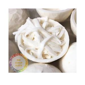 Manufacturer Price Frozen Coconut Flake Flesh High Fat Content for Germany Food Industry Direct Factory Wholesale Supply - Product Image 2