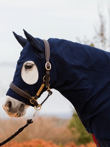 Couverture de cheval personnalisée en maille respirante Horse Back on Track – Vente chaude, personnalisation, vente en gros, fabricants de couvertures pour chevaux, équipement d'équitation - Product Image 3