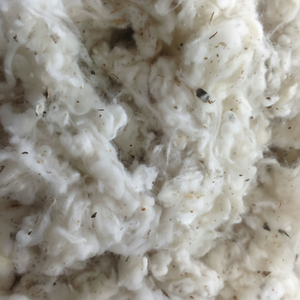 Meilleur prix, bonne qualité, coton en mèches, coton Lickerin, couleur blanche, provenant d'une usine du Vietnam pour la fabrication de fil à coton Florence - Product Image 6