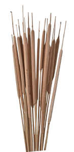 ADVAITH IMPEX Bâtonnets diffuseurs en roseau (Reed Spadix Hogla Typha) pour diffuseur de parfum – Cadeaux Fête des Mères, Saint-Valentin, Noël, Thanksgiving - Product Image 6