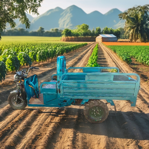 三轮成人电动货运农用三轮车 60V 热销乡村道路运输货物小型电动三轮车 - Product Image 5