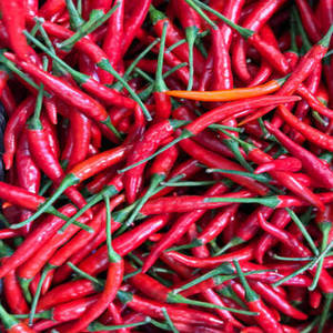 Piment rouge séché 100 % pur de qualité supérieure, entier, séché à l'air (AD), sans tige, norme d'exportation, épices et herbes simples, Gujarat - Product Image 2