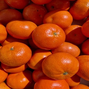 ส้มสดคุณภาพสูงจากฟาร์ม |   ผลไม้รสเปรี้ยวธรรมชาติขายส่ง - Product Image 1