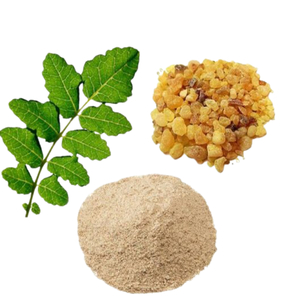 Extracto Natural de Boswellia Serrata en Polvo, Ingrediente Herbal de Alta Pureza, Suministro al por Mayor para Exportación - Product Image 4