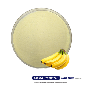 Polvo de Jugo de Plátano de Primera Calidad, Garantía del Mejor Proveedor, Halal, OEM, B2B, Saborizante Natural para Repostería y Smoothies - Product Image 2