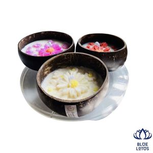 Bougie en Coque de Noix de Coco Écologique Haut de Gamme, Cire de Soja, Parfumée, Tendance, Aromathérapie, Vente en Gros Direct Usine - NOUVEAUTÉ POPULAIRE - Product Image 1