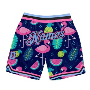 Premium Custom Front Logo Basketball Shorts Graphic Printed <b>Athletic</b> Lightweight Quick Dry Sportswear Team Training Unisex - Product Image 6