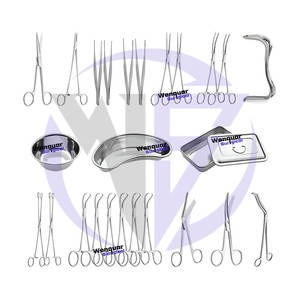 Offre exceptionnelle à faible MOQ : Kit d'instruments de rhinoplastie en acier inoxydable de 25 pièces avec plateau en plastique, outils Wenquar disponibles - Product Image 6