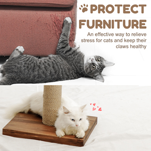 MEOW LOVE PET Dernières Nouveautés Arbre d'activités pour chat, Griffoir mural en bois écologique, Hamac en pin, 5 pièces, Pour tous les animaux de compagnie - Product Image 4