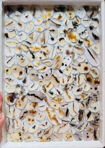 Natural Montana <b>Agate</b> Polished Cabochon Gemstone Brown Black 20-35mm Handmade Home Decoration Jewelry Making Stone - Product Image 2