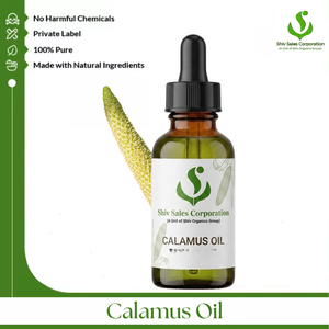 Professional Calamus Essential Oil Wholesaler Offering Premium Bulk Supply Solutions for Cosmetics Personal Care Fragrance - Product Image 1