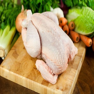 Poulet Halal Congelé Entier et en Pièces Prix Abordable En Stock Livraison Rapide Poulet Frais Congelé de Meilleure Qualité à Vendre - Product Image 3