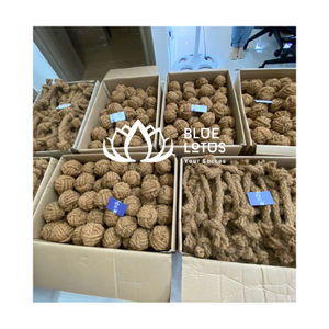 Jouet à mâcher pour chien en boule de coco naturelle grand format Blue Lotus, très populaire, écologique, nettoie les dents, masse les gencives, soulage l'ennui et l'anxiété - Product Image 1