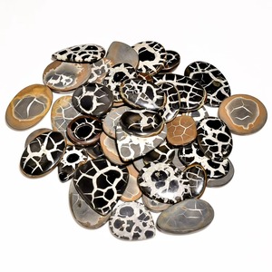 Cristal de Septaria Negra Curativa, Pieza Decorativa Hecha a Mano para la Sala de Estar, Disponible al Mejor Precio - Product Image 5