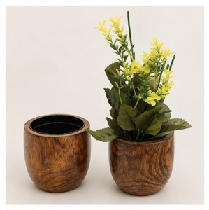 Maceta Redonda Moderna Ecológica de Madera de Mango, Hecha a Mano, de Madera Maciza, para Suculentas y Uso en Jardines Interiores - Product Image 1
