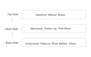 Perfume Natural Amaderado Befanty con Cedro y Hierba Silvestre - Spray Desodorante Líquido de Larga Duración para Unisex - Product Image 2