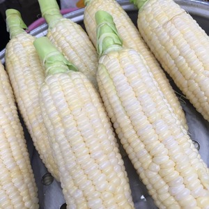 Maíz Blanco Entero Seco de Primera Calidad con Empaque a Granel de Calidad Natural para Importadores, Mayoristas y Proveedores de Granos - Product Image 2