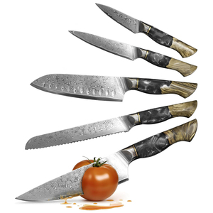 Ensemble de couteaux de chef professionnels en acier Damas, collection de couteaux de cuisine haut de gamme pour restaurant, traiteur, hôtel et maison - Product Image 1