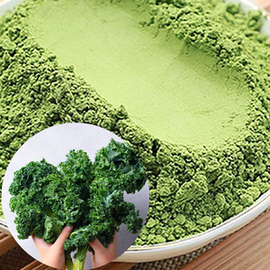 Poudre de chou frisé naturelle premium / Poudre de feuilles de chou frisé vert biologique déshydratée en vrac - Product Image 2