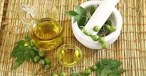 Aceite de Neem 100% Puro, Natural, Orgánico, Prensado en Frío, de Semillas, en Envase a Granel, Bidón Azul, para Agricultura, Protección de Plantas - Product Image 3