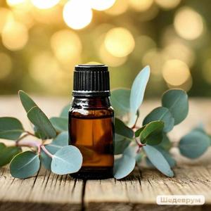 Superior Grade Natural Eucalyptus <b>Essential</b> <b>Oil</b> for Bath Products Body Care Formulations and Spa Wellness Treatments - Product Image 4