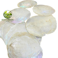 Disque décoratif en coquille de capiz naturelle, blanc, forme ronde, double trou, pour ornement mobile, artisanat fait main, décoration de la maison