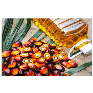 Compra al por Mayor de Aceite de Palma Refinado 100% Puro y Natural de Grado Alimenticio, Fabricante de Aceite de Palma Refinado, Proveedor de Aceite de Cocina Premium - Product Image 5