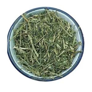 Feuilles séchées d'Andrographis Paniculata (Chiretta) de qualité supérieure, matière première végétale naturelle pour applications ayurvédiques et bien-être - Product Image 4