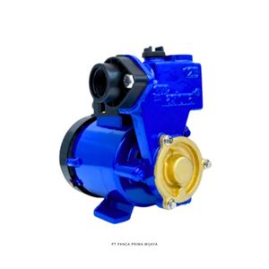 High Quality Electric Water Pump 125W Shallow Well Booster Pump 220V Household Water Transfer Pump Low <b>Noise</b> - Product Image 2