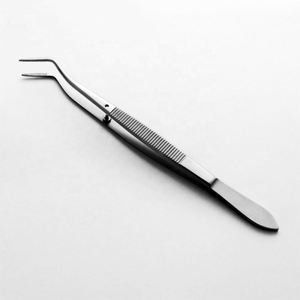 Pinzas Dentales de Algodón con Punta Curva y Bloqueo, Instrumentos Dentales de Acero Inoxidable, Instrumentos Quirúrgicos - Product Image 1