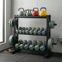 Support à haltères moderne en fonte métallique, durable et stable, à 3 niveaux, pour le rangement d'équipements de salle de sport commerciale, état impeccable