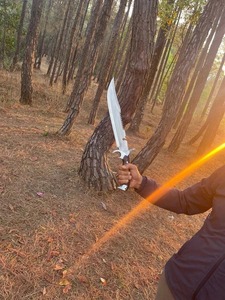 Cuchillo de Caza de Acero al Carbono con Hoja Serrada de Punta Caída y Mango de Madera, Herramienta de Supervivencia para Exteriores - Product Image 5