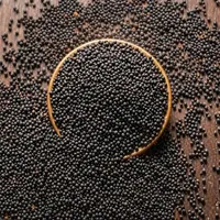 Graines de colza biologiques séchées d'origine indienne, approvisionnement agricole en vrac, CRADLE of LIFE, durée de conservation de 24 mois pour l'huile de cuisson