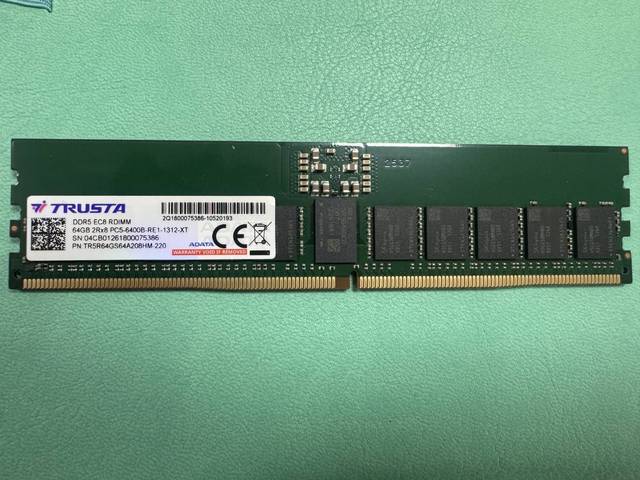 Mintech Taiwan Original DDR5 RDIMM 64GB 6400MT/s ECC Memory Module Model TR5R64GS64A208HM-220 for Server in Stock