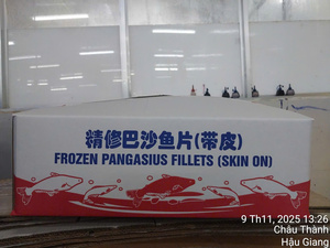 Pangasius Congelado IQF de Can Tho con Piel, Filete de Alta Calidad, Marca VH Food, Tamaños Personalizados, Empaque por Pieza, Bajo en Sal - Product Image 6