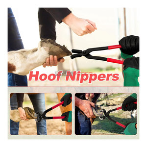 Kit de Herramientas Profesional para Herradores, para el Cuidado de Pezuñas de Caballos, Juego de Recorte de Pezuñas de Alta Resistencia, Incluye Alicates para Recortar Pezuñas y Tenazas para Herraduras - Product Image 4