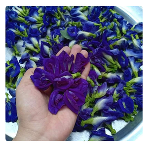 Thé bio aux fleurs de pois papillon pour boissons rafraîchissantes-Disponible à l'achat en gros à des prix de gros abordables - Product Image 1