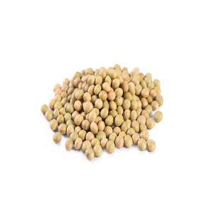 High Quality Organic & GMO Yellow <b>Soybean</b> Seeds Dried <b>Soybeans</b> Packaged in Bulk Competitive Price Packed in Bags - Product Image 1