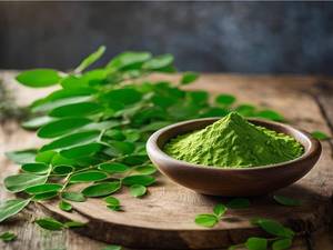 Poudre de Moringa 100% pure déshydratée, prix direct usine pour les tisanes - Product Image 1