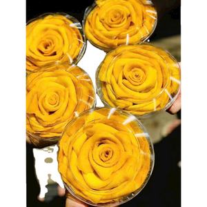 100% <b>fresh</b> fruit naturally preserved flavor <b>mango</b> with a chewy texture and signature aroma natural golden color - Product Image 6