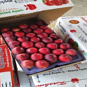 Pomme rouge de Kashmir fraîche de qualité supérieure, saveur naturelle et sucrée, qualité export, 70-85mm, 95-100% mûre, Aaradhya 60-90 - Product Image 1
