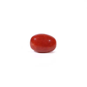 Natural Red Coral Oval Cabochon Loose Gemstone 3.29 Carat AA Quality Certified Wholesale - Product Image 1