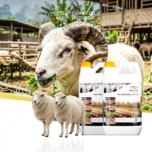 Aditivo alimenticio líquido orgánico GDM Bio de 5 litros para ganado, promueve el crecimiento saludable. - Product Image 2