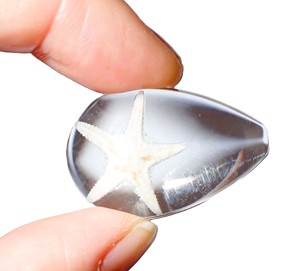 Starfish Real Specimen Plastic Cabochon Pear Shape Cut <b>Top</b> 33x22 mm Clear Flat Bottom for Crafts and Jewelry Making - Product Image 6