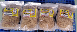 IRIS SEA MOSS VIETNAM, mousse de mer biologique séchée de haute qualité, emballée en sachet, prix +84 978495473 - Product Image 6