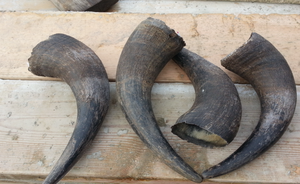 Jouet à mâcher pour chien en corne de buffle naturelle de qualité supérieure, durable, sain pour les dents, pour les chiens agressifs, entraînement et soins bucco-dentaires - Product Image 1