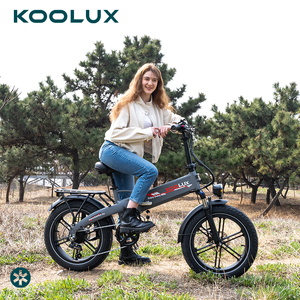 Vélo électrique urbain KOOLUX RK10 750W 48V 13Ah, support OEM, stock local UK/UE, vélos électriques à vendre - Product Image 1