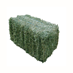 Alfalfa Hay for Animal <b>Feeding</b> /alfalfa hay <b>pellets</b> /Timothy Hay in Bales - Product Image 1