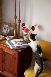 <b>Wooden</b> Tapered <b>Candlestick</b> Holder Set for Home Decoration - Product Image 3